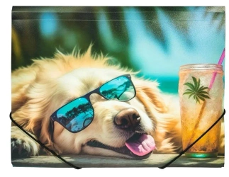 Teczka A4 PP z nadrukiem Chillout Dog - Panta Plast