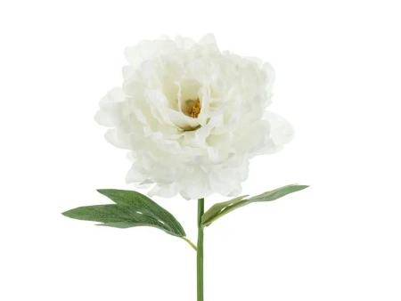 Piwonia biała 35cm - PartyDeco
