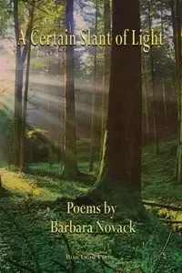 A Certain Slant of Light - Barbara Novack