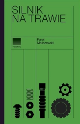 Silnik na trawie - Karol Maliszewski