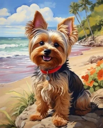 Diamentowa Mozaika Pies York na plaży NO-2003037 - Norimpex