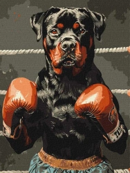 Malowanie po numerach - Moc ringu 30x40cm - Ideyka