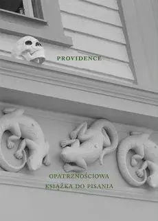 Providence. Opatrznościowa książka do pisania - Agnieszka Taborska