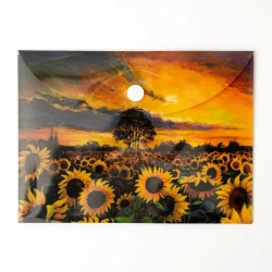 Paczka Teczka A6 kopertowa PP Słoneczniki 5 szt. - Narcissus