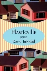 Plasticville - Trinidad David
