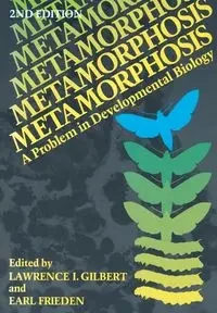 Metamorphosis - Gilbert Lawrence