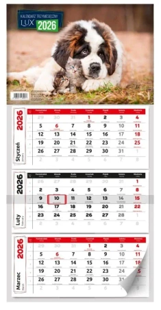 Kalendarz 2026 miesięczny lux - Kalpol