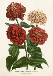 Karnet ST458 B6 + koperta Cynia - Skona Ting