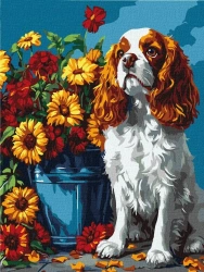 Malowanie po numerach - Spaniel i kwiaty 30x40cm - Ideyka
