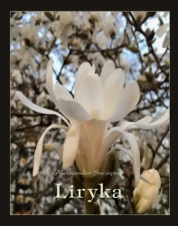 eBook Liryka - Aleksander Szczęsny epub mobi