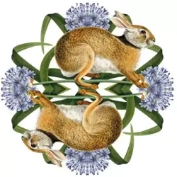 Karnet kwadrat z kopertą European Brown Hare - Museums & Galleries