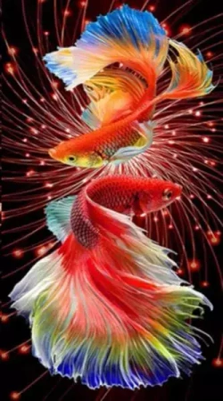 Diamentowa mozaika Dwie czerwone ryby 30x40cm 2000155 - Norimpex