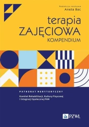 Terapia zajęciowa. Kompendium - Aneta Bac