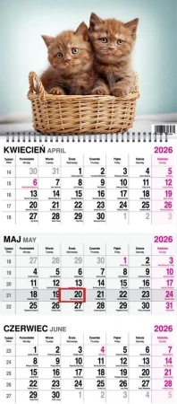 Kalendarz 2026 trójdzielny na spirali Koty - O-press