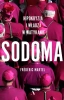 Sodoma. Hipokryzja i władza w Watykanie - Frdric Martel