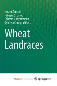 Wheat Landraces - Zencirci Nusret