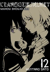Czarodziejki.net. Tom 12 - Satou Kentarou