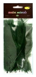 Piórka miękkie ciemnozielone 15szt - Galeria Hobby