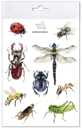 Naprasowanki Owady - Mama Maluje