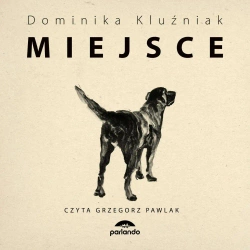 audiobook Miejsce - Dominika Kluźniak