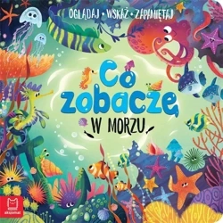 Co zobaczę w morzu. Oglądaj, wskaż, zapamiętaj - Sylwia Kajdana