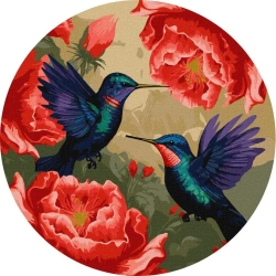 Malowanie po numerach - Kolorowe kolibry d39cm - Ideyka