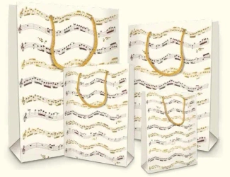 Torebka ozdobna BXS502C37C Musica średnia - DaVinci