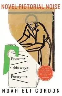 Novel Pictorial Noise - Gordon Noah Eli