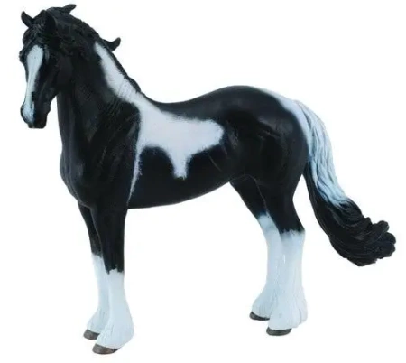 Ogier rasy Barock Pinto - Collecta