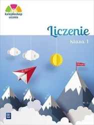 Kalejdoskop ucznia. Liczenie kl. 1 WSiP - Aniela Chankowska