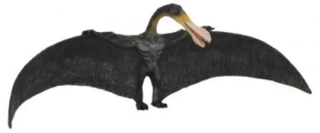 Dinozaur Ornitocheir - Collecta