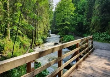 Diamentowa Mozaika Las pomost drewniany nad potokiem NO-1006519 - Norimpex