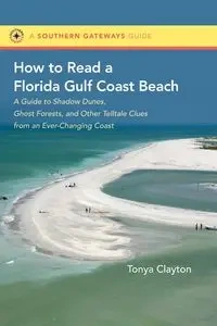 How to Read a Florida Gulf Coast Beach - Clayton Tonya