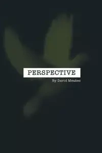 Perspective - David Meakes