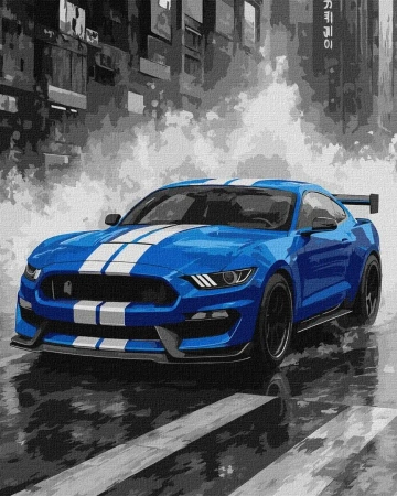 Malowanie po numerach - Niebieskie wyścigi 40x50cm - Ideyka