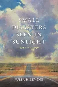 Small Disasters Seen in Sunlight - Levine Julia B.