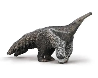 Mrówkojad Wielki - Collecta