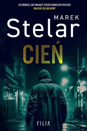 Cień - Marek Stelar