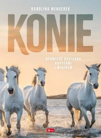 Konie - Karolina Wengerek