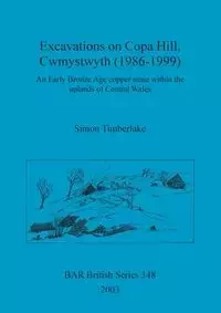 Excavations on Copa Hill, Cwmystwyth (1986-1999) - Simon Timberlake