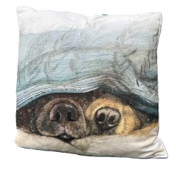 Poduszka CU58 Noski psów - Alex Clark