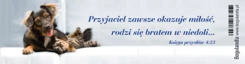 Zakładka do książki. Przyjaciel zawsze okazuje miłość...