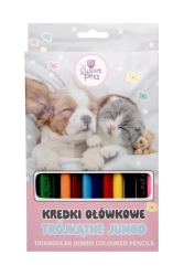 Kredki trójkątne jumbo The sweet pets 12 kolorów - Beniamin