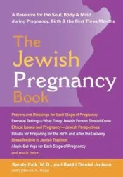 The Jewish Pregnancy Book - Sandy Falk
