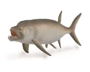 Wymarła ryba Xiphactinus - Collecta
