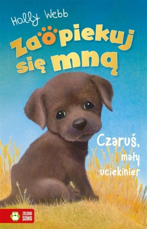 Zaopiekuj się mną. Czaruś, mały uciekinier - Holly Webb
