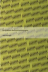Electrokinetic Electroencephalography - Quranti Shah