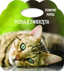 Poznaję zwierzęta. Ks. z uszkiem - Domowe pupile - praca zbiorowa