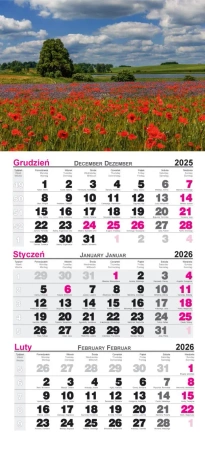 Kalendarz 2026 ścienny trójdzielny Maki - Radwan