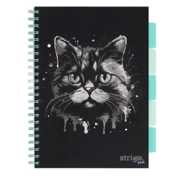 Kołozeszyt Pads A4/100K linia Kot - Strigo